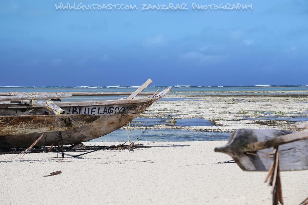 Albatross Ocean View Hotel Dongwe Kültér fotó