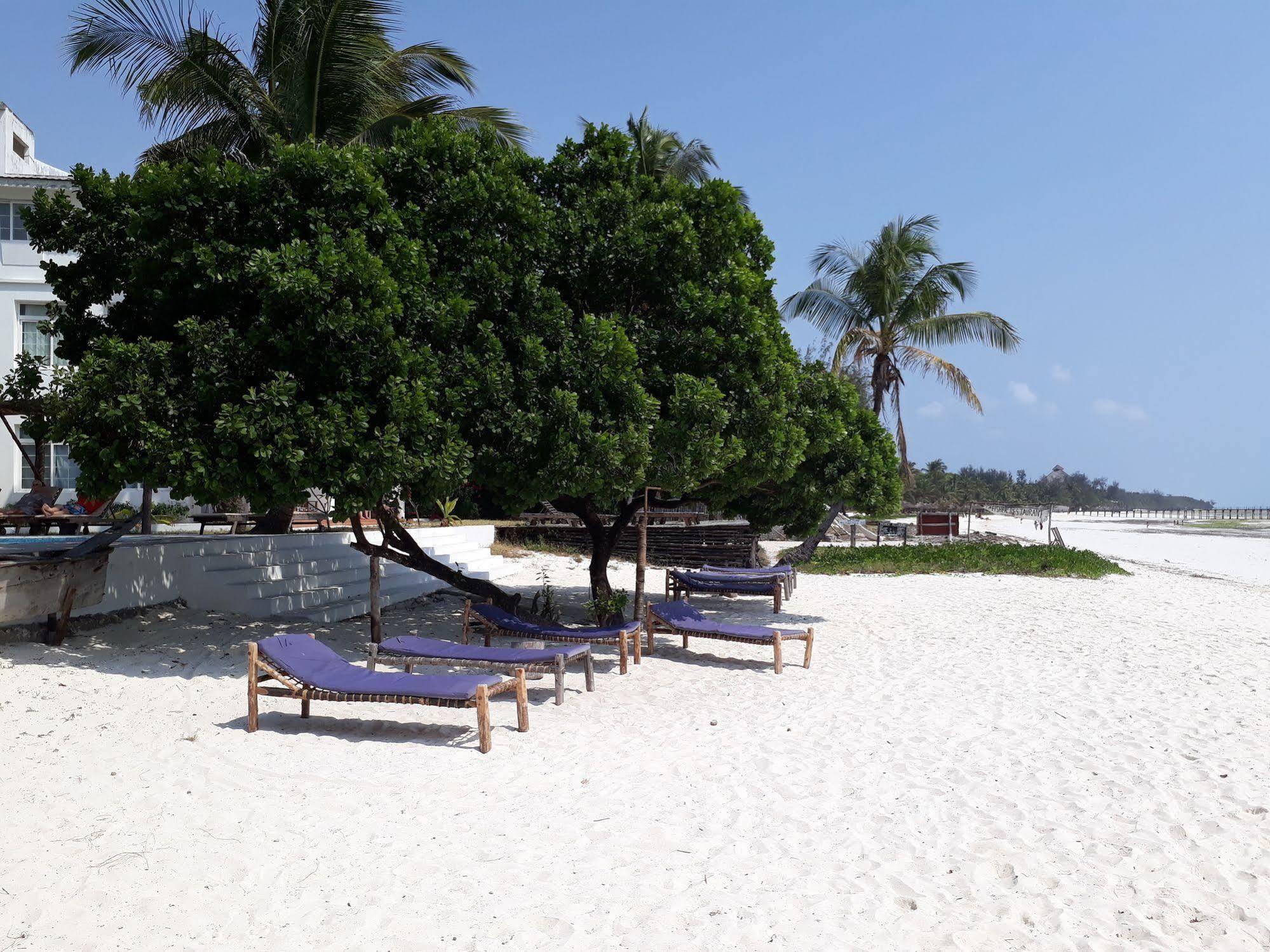 Albatross Ocean View Hotel Dongwe Kültér fotó
