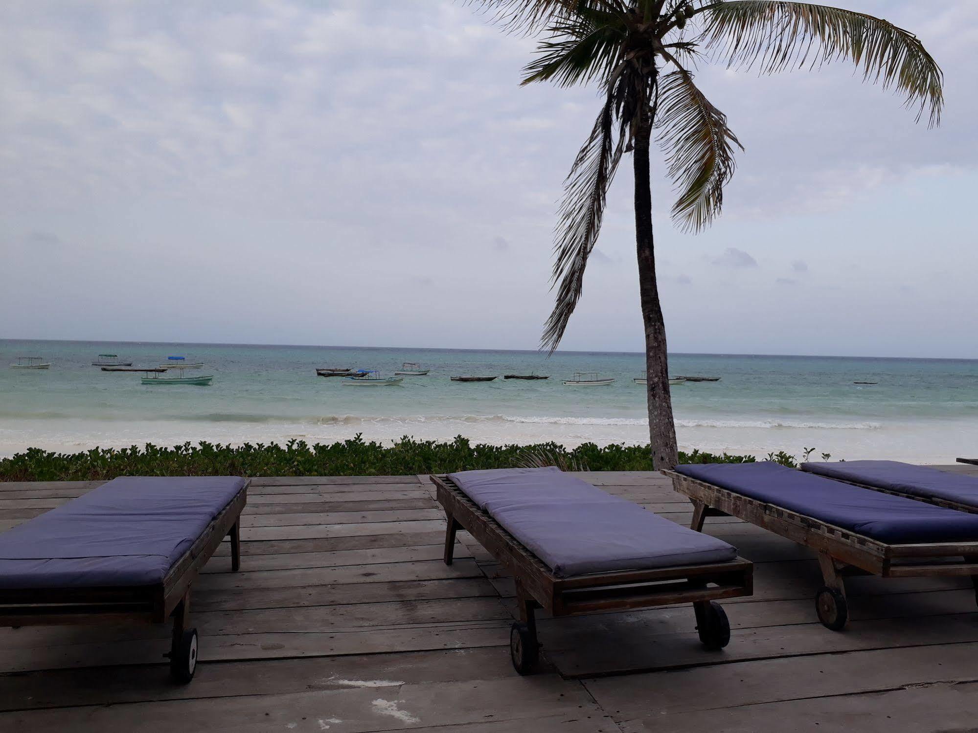 Albatross Ocean View Hotel Dongwe Kültér fotó