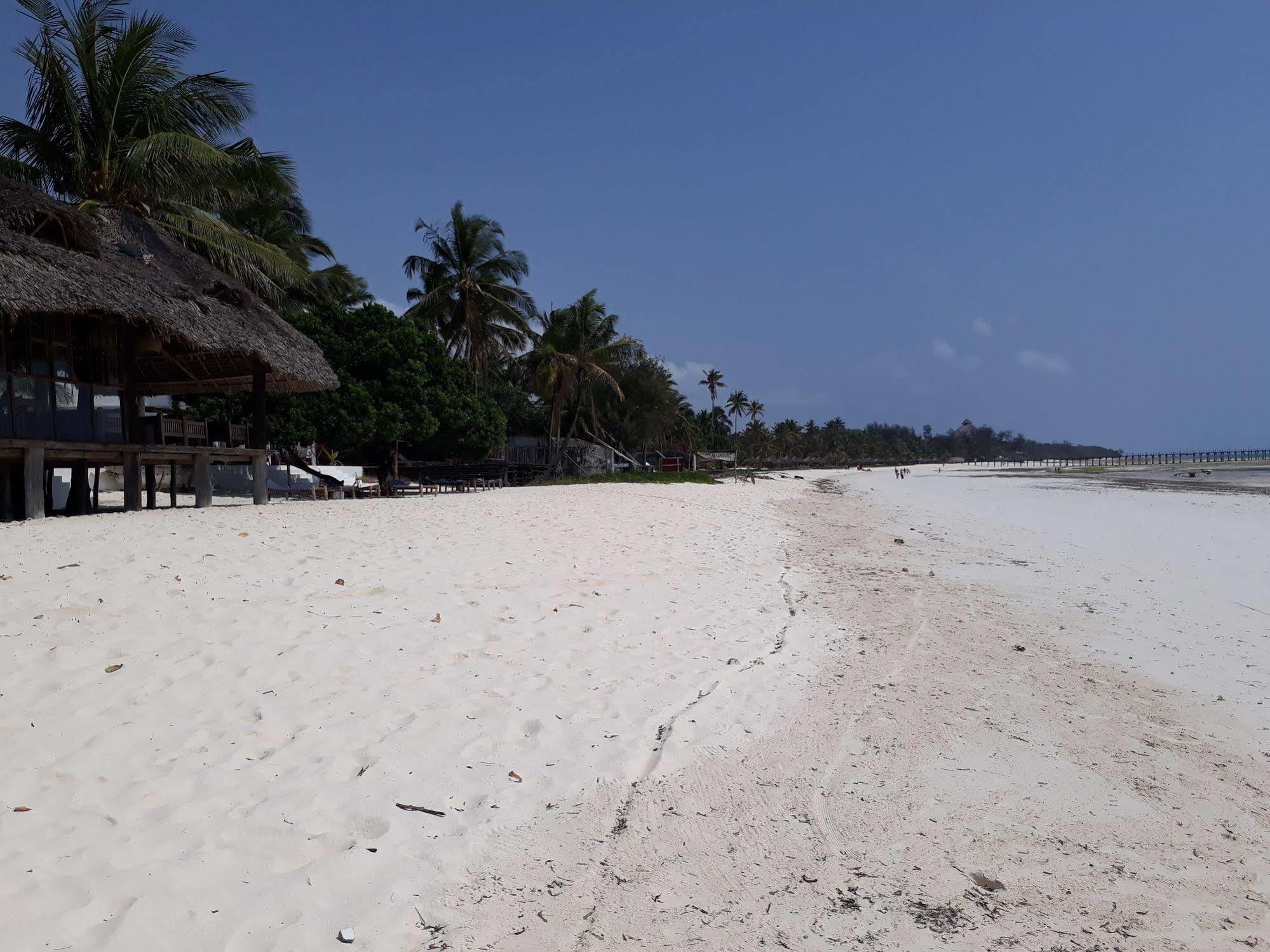 Albatross Ocean View Hotel Dongwe Kültér fotó