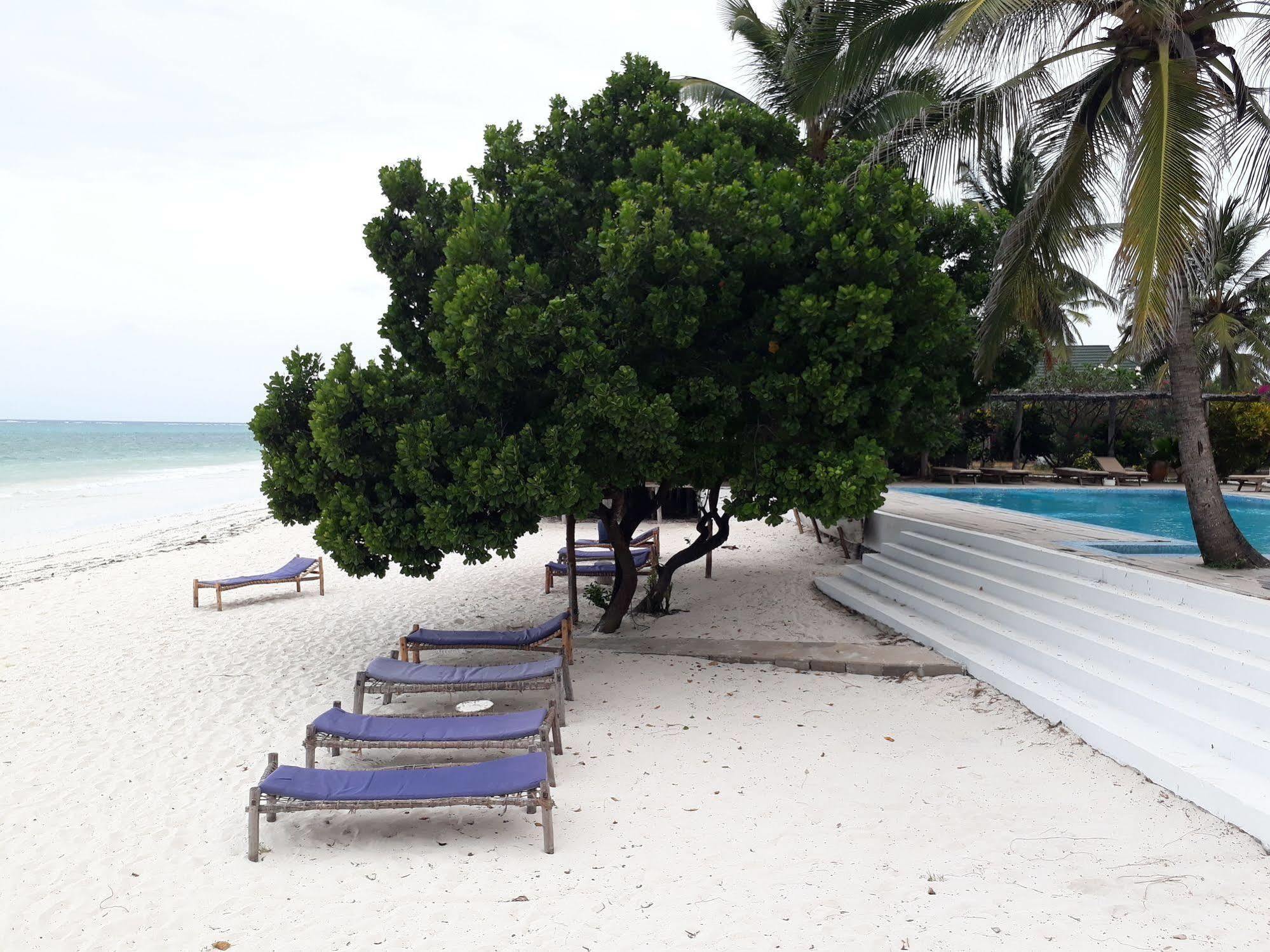 Albatross Ocean View Hotel Dongwe Kültér fotó